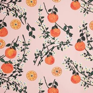 Anthropologie Carly Beck Arance  Dolci Fruit Wallpaper